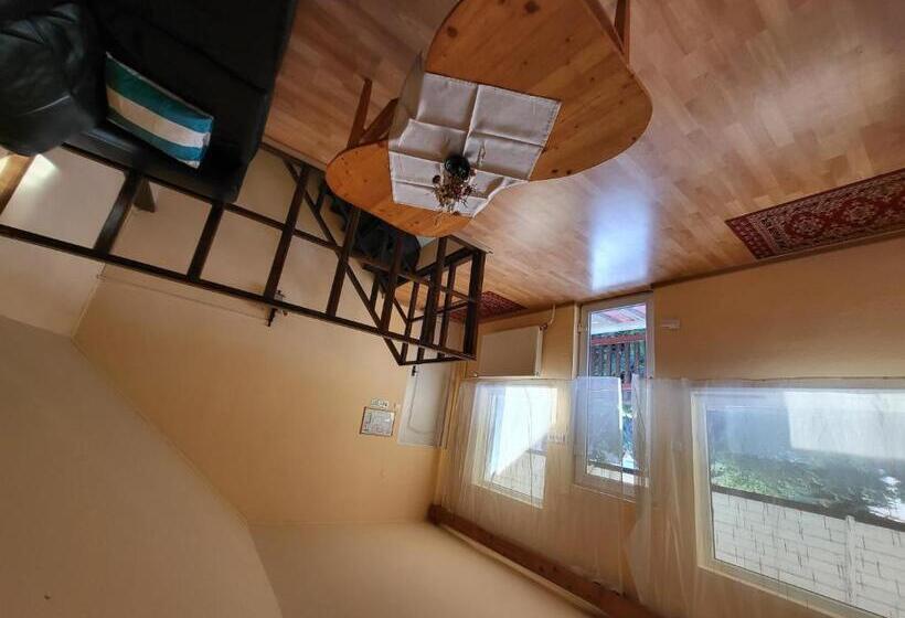 Номер Superior, Betty Panzio