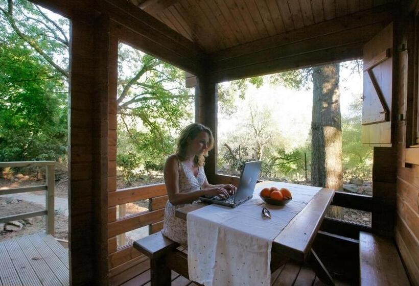 スタンダードバンガロー, Complejo Rural Huerta Grande