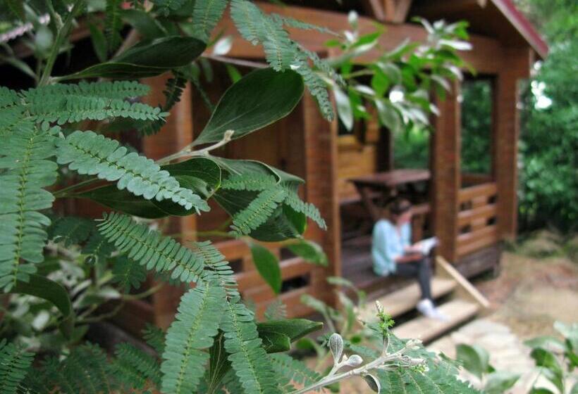 スタンダードバンガロー, Complejo Rural Huerta Grande