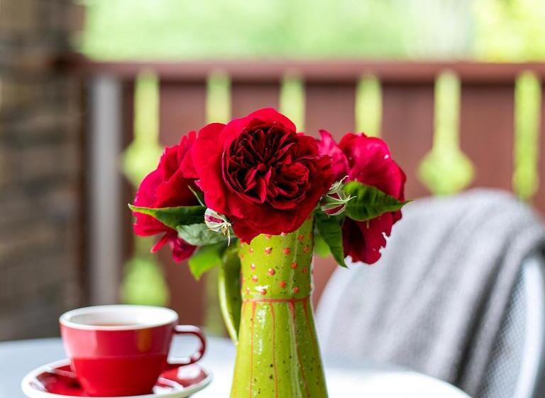 豪华工作室, Chalet Eiger