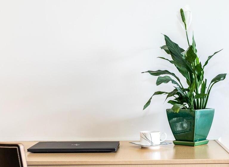 豪华套房, Chalet Eiger