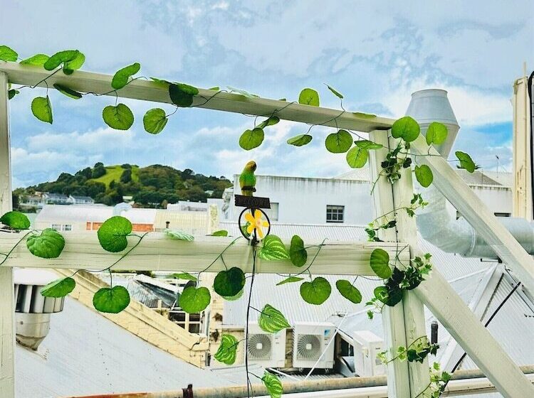 Habitació Estàndard, The Esplanade