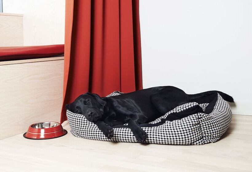 패밀리 룸, Best Western Plus Park City Hammarby Sjöstad