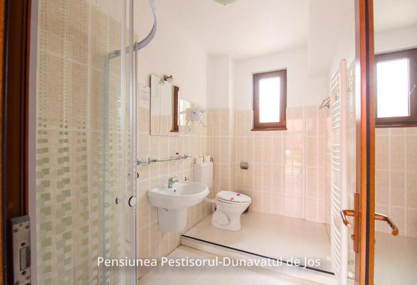 标准间, Pensiunea Pestisorul