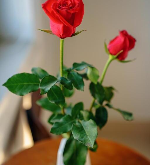 اتاق لوکس با بالکن, Hai Dao Hoi An Villa