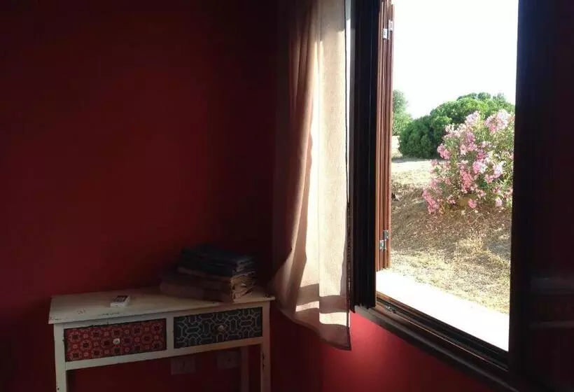 スタンダードルーム, Agriturismo Sa Murta In Sennariolo Oristano
