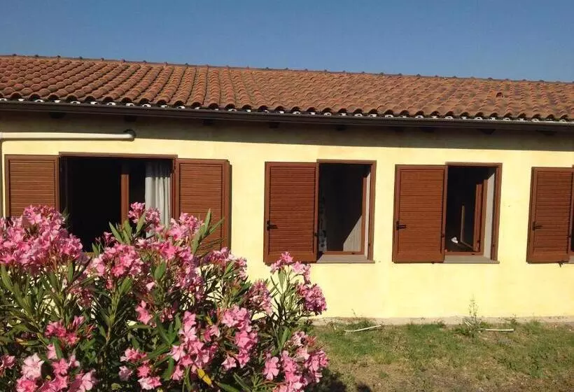 スタンダードルーム, Agriturismo Sa Murta In Sennariolo Oristano