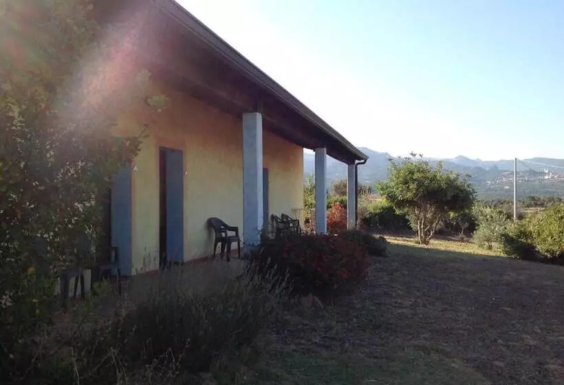 スタンダードルーム, Agriturismo Sa Murta In Sennariolo Oristano