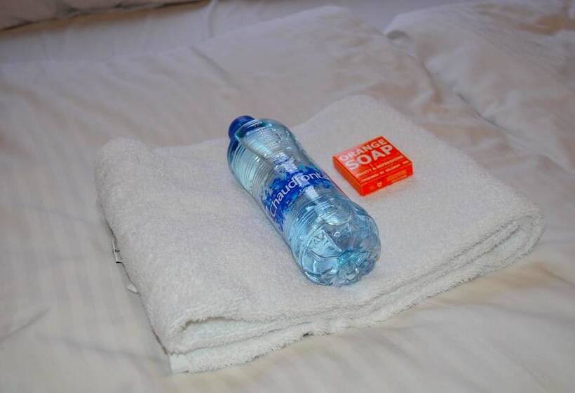 اتاق استاندارد, The Flying Pig Uptown