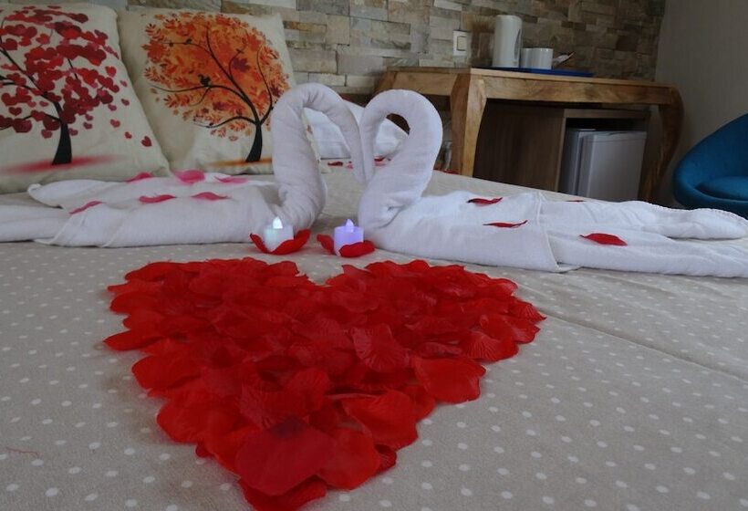 غرفة قياسية, Hostal La Paloma Ii   Hotel Calpe Grupo