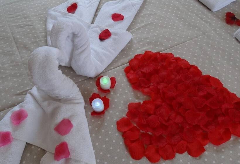 غرفة قياسية, Hostal La Paloma Ii   Hotel Calpe Grupo