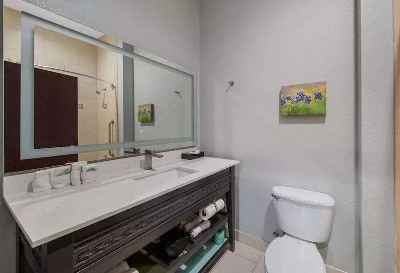 ２ダブルベッドのスタンダードルーム, Best Western Bowie Inn & Suites