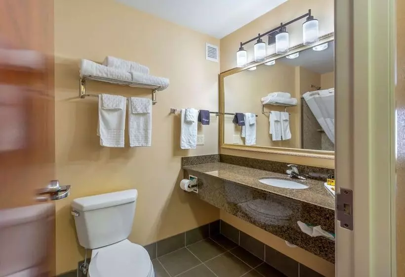 スイート, Best Western Plus Fossil Country Inn & Suites