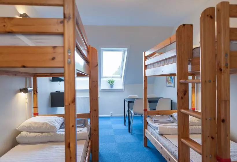 اتاق استاندارد چهار تخته, Hostel Belægningen