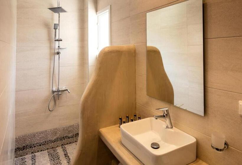 غرفة قياسية, Selini