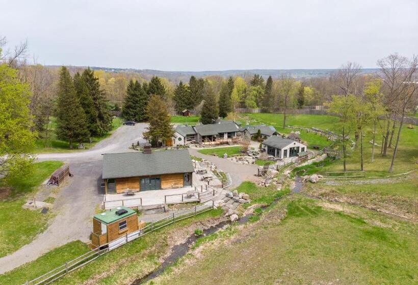 Четырехместный Номер Стандарт, New Park Venue & Suites