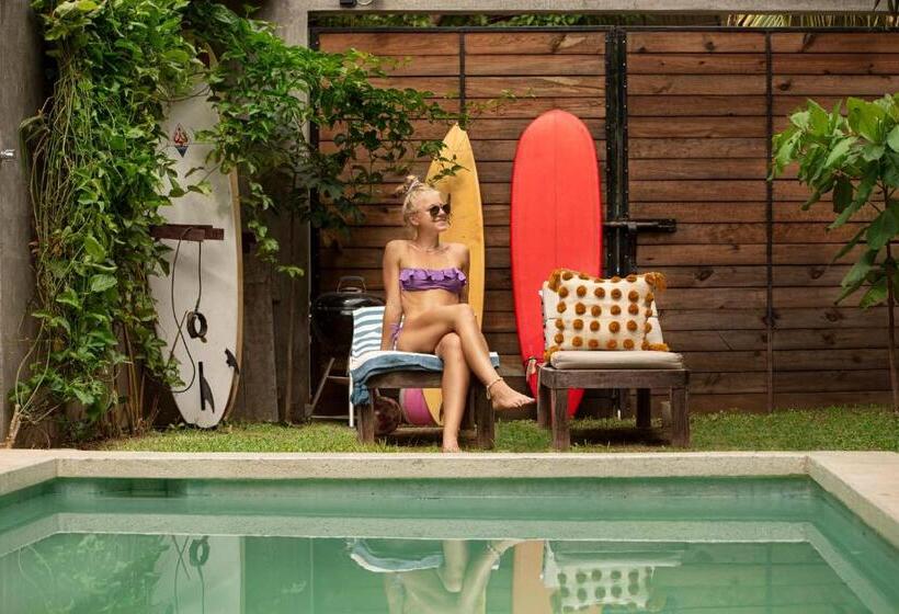 스탠다드 룸 풀장 전망, Casa Monika