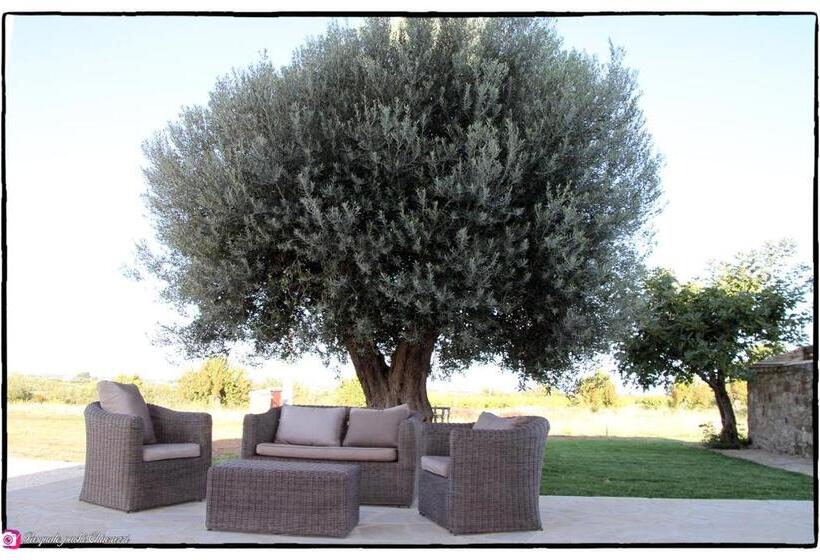 Апартаменты 1 Спальня Вид на Бассейн, Alta Area