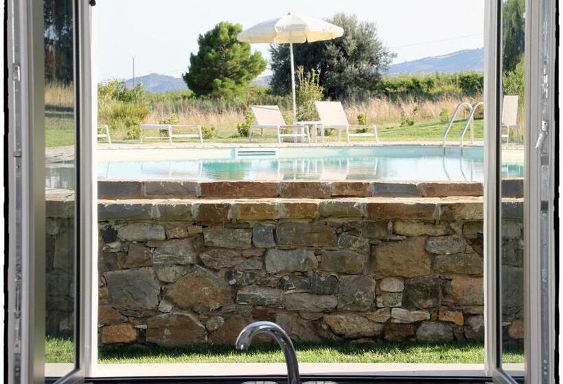 Апартаменты 1 Спальня Вид на Бассейн, Alta Area