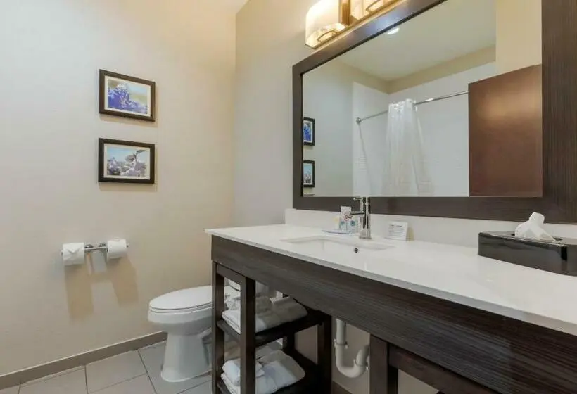 キングサイズベッドのスタンダードルーム, Comfort Inn & Suites Balch Springs  Se Dallas
