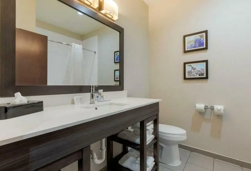 キングサイズベッドのスイートルーム, Comfort Inn & Suites Balch Springs  Se Dallas