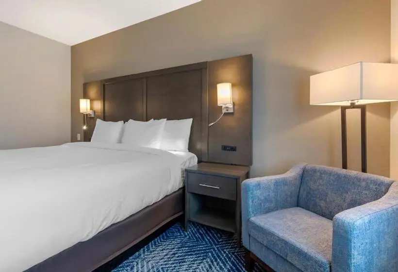 キングサイズベッドのスタンダードルーム, Comfort Inn & Suites Balch Springs  Se Dallas