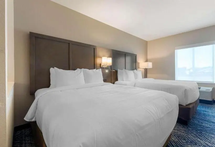 スイート, Comfort Inn & Suites Balch Springs  Se Dallas
