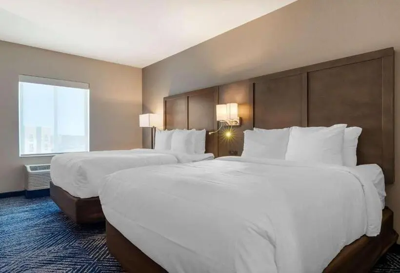 スイート, Comfort Inn & Suites Balch Springs  Se Dallas