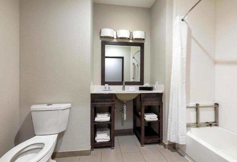 身障者適用スイートルーム, Comfort Inn & Suites Balch Springs  Se Dallas