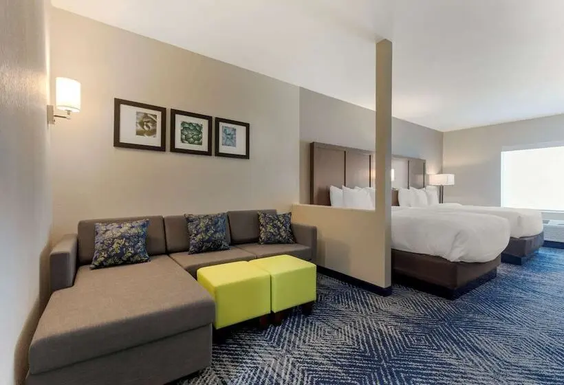 身障者適用スイートルーム, Comfort Inn & Suites Balch Springs  Se Dallas