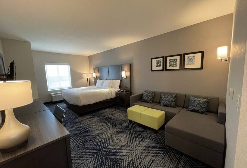 スイート, Comfort Inn & Suites Balch Springs  Se Dallas