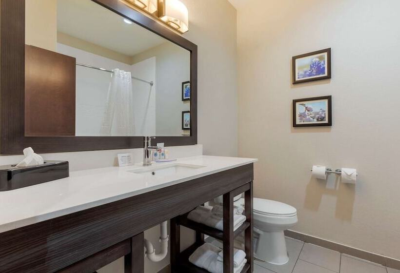 スイート, Comfort Inn & Suites Balch Springs  Se Dallas