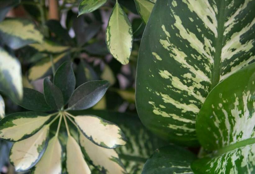 חדר סטנדרט עם מיטת קינג, Malaga Hills Double Comfort Boutique & Wellness Eco Hotel  Adults Only