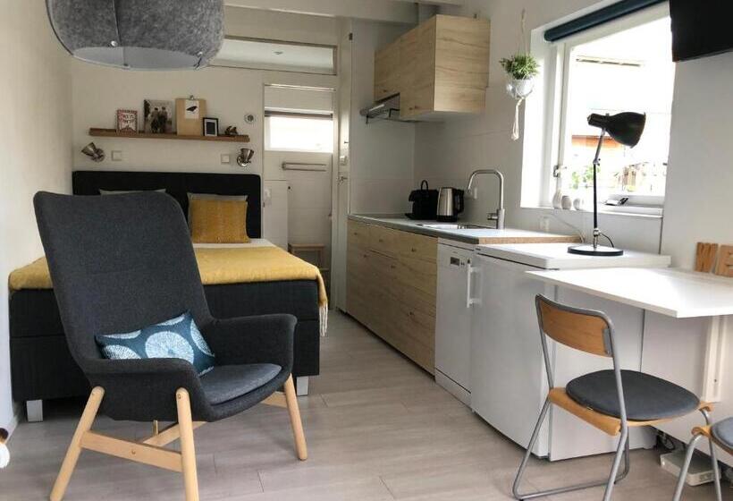 标准房带园景, De Zwarte Ruiter