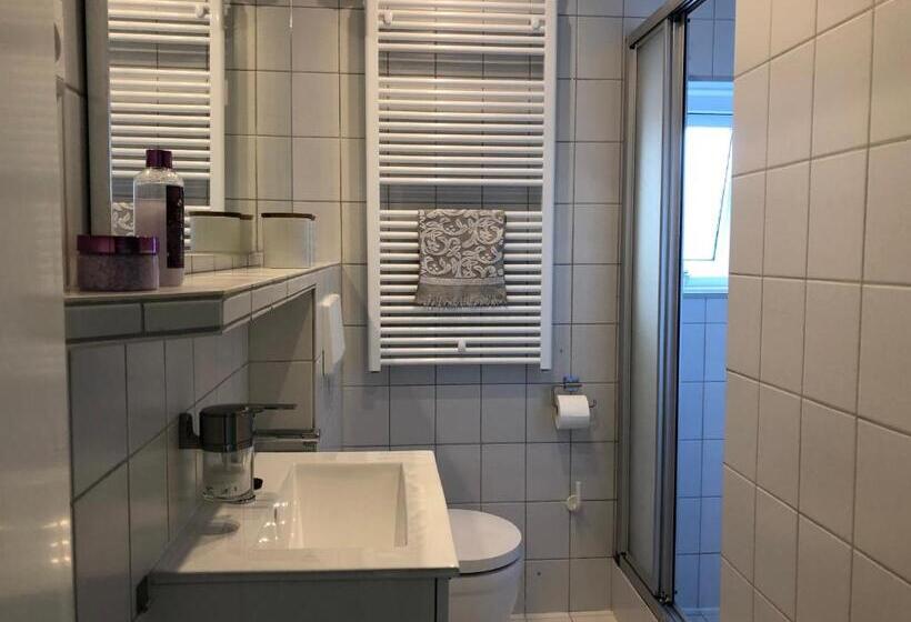 豪华房间, De Zwarte Ruiter