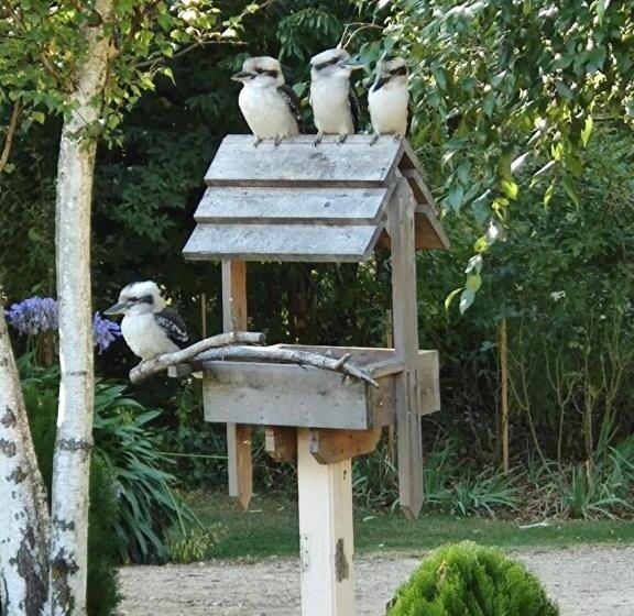 غرفة قياسية, Beechworth House