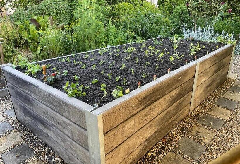 غرفة قياسية مطلّة علي الحديقة, Beechworth House