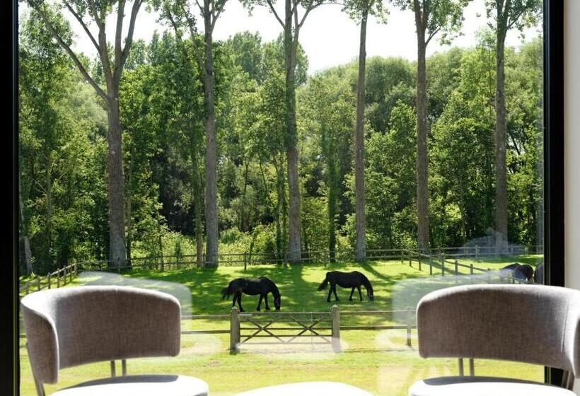 חדר סטנדרט לארבעה, B & B St Hubert