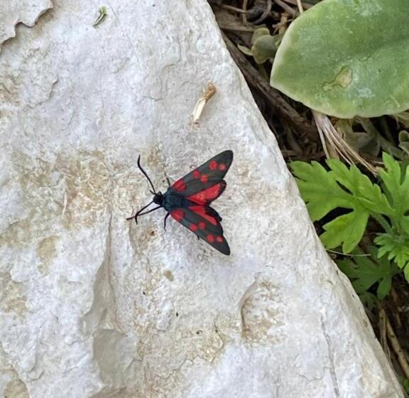 منزل 3 غرف نوم, Casale Nella Valle