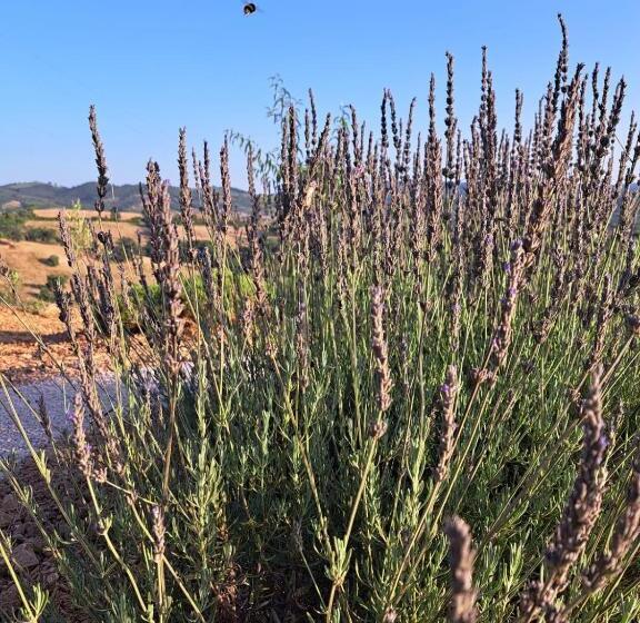 스탠다드 룸 가든 전망, Casale Terre Rosse