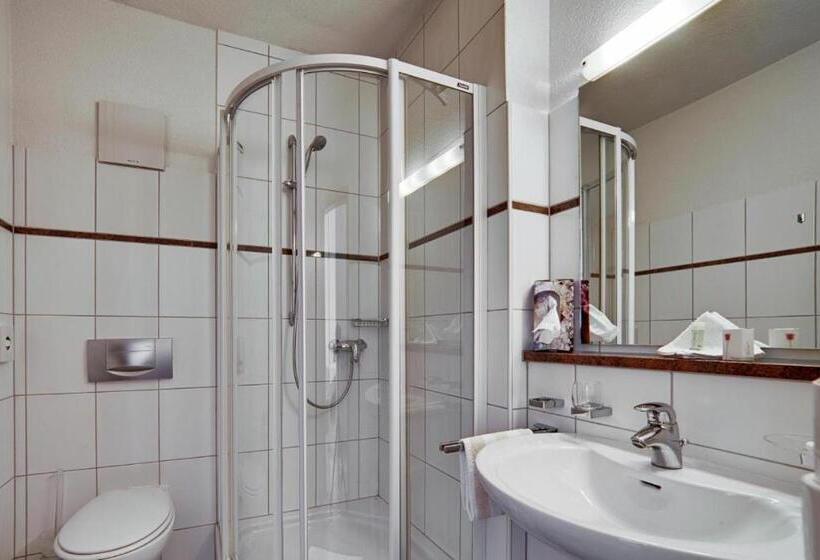 스탠다드 싱글 룸, Villa Martino   Zum Hirsch