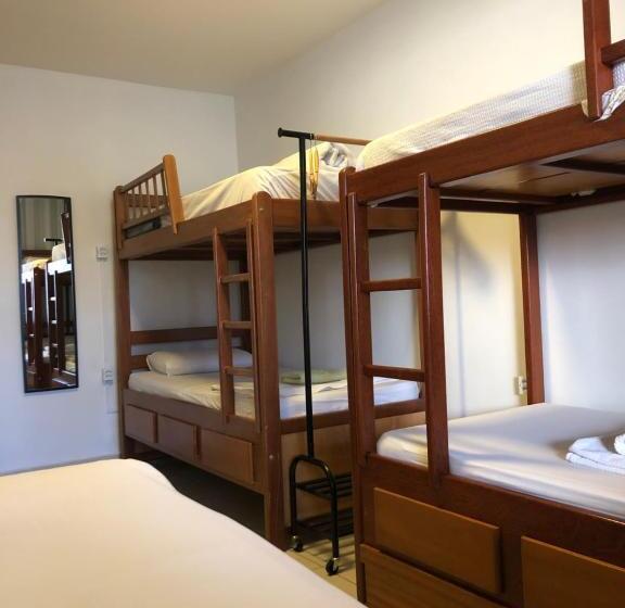 سرير فى غرفة مشتركة مزودة بحمام مشترك, Gayfriendly Hostel Bsb Airport