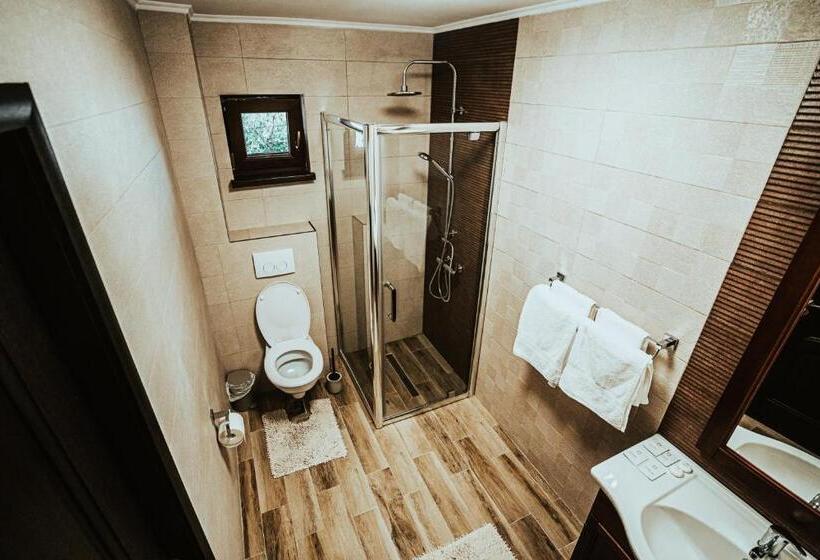 Номер Deluxe с Балконом, Pensiunea Romana