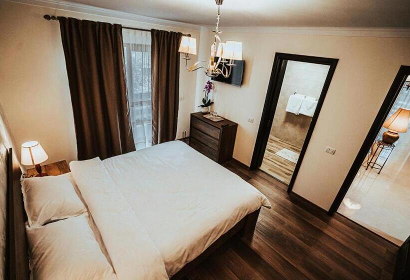 Номер Deluxe с Балконом, Pensiunea Romana