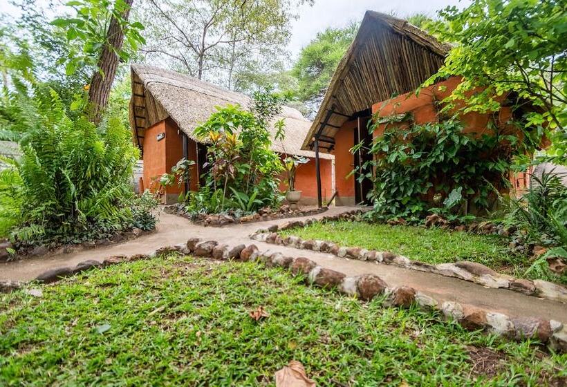 اتاق استاندارد, Victoria Falls Backpackers Lodge