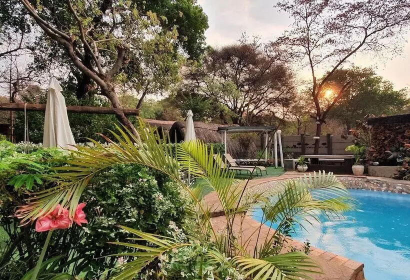 تختخواب در اتاق مشترک, Victoria Falls Backpackers Lodge
