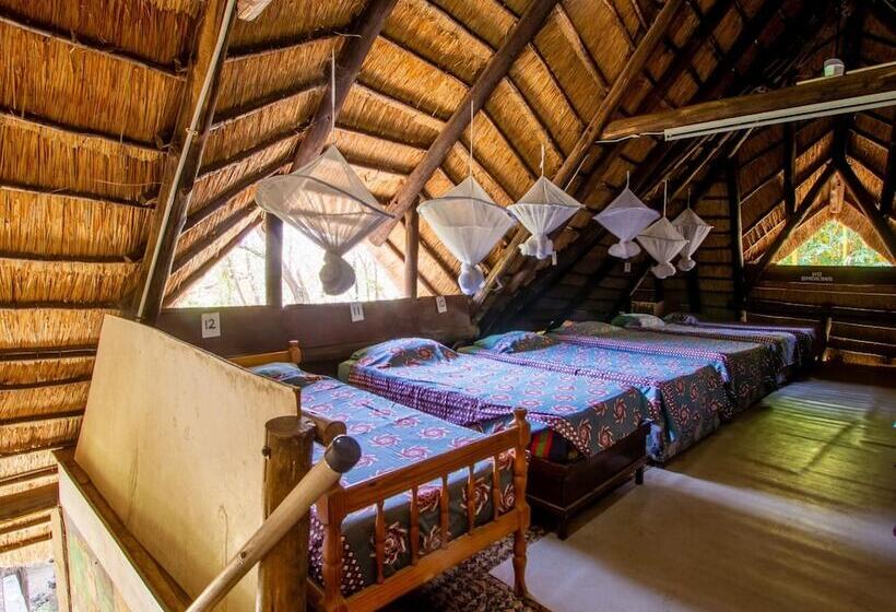 تختخواب در اتاق مشترک, Victoria Falls Backpackers Lodge