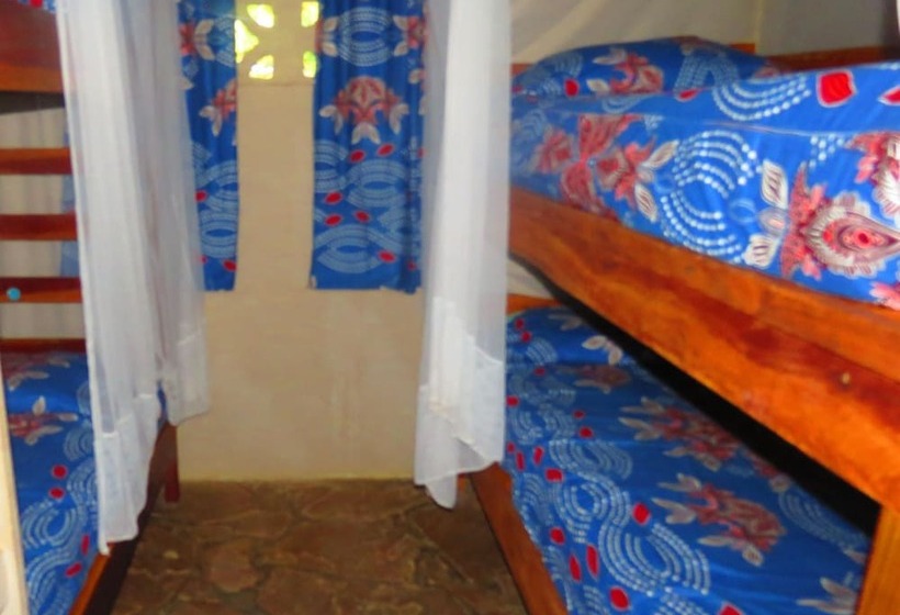 تختخواب در اتاق مشترک, Victoria Falls Backpackers Lodge