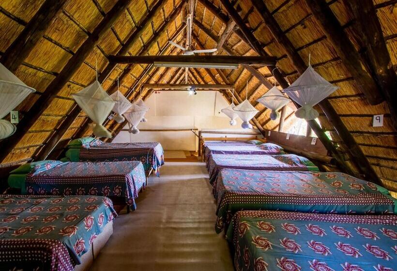 تختخواب در اتاق مشترک, Victoria Falls Backpackers Lodge