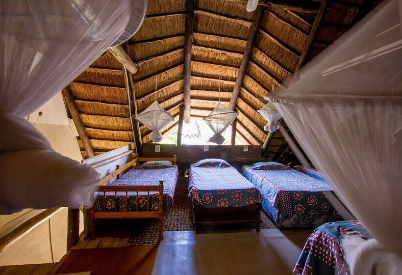 تختخواب در اتاق مشترک, Victoria Falls Backpackers Lodge